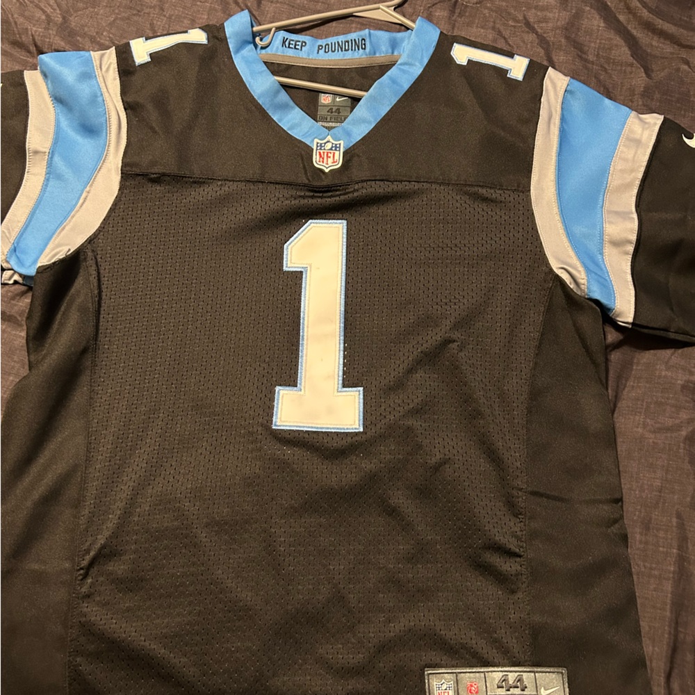Carilion panthers